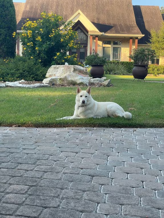 Meet Maggie